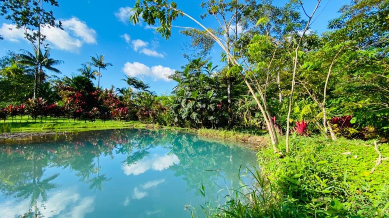 Blue River Resort & Hot Springs Liberia Exteriör bild