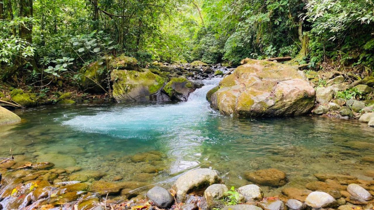 Blue River Resort & Hot Springs Liberia Exteriör bild
