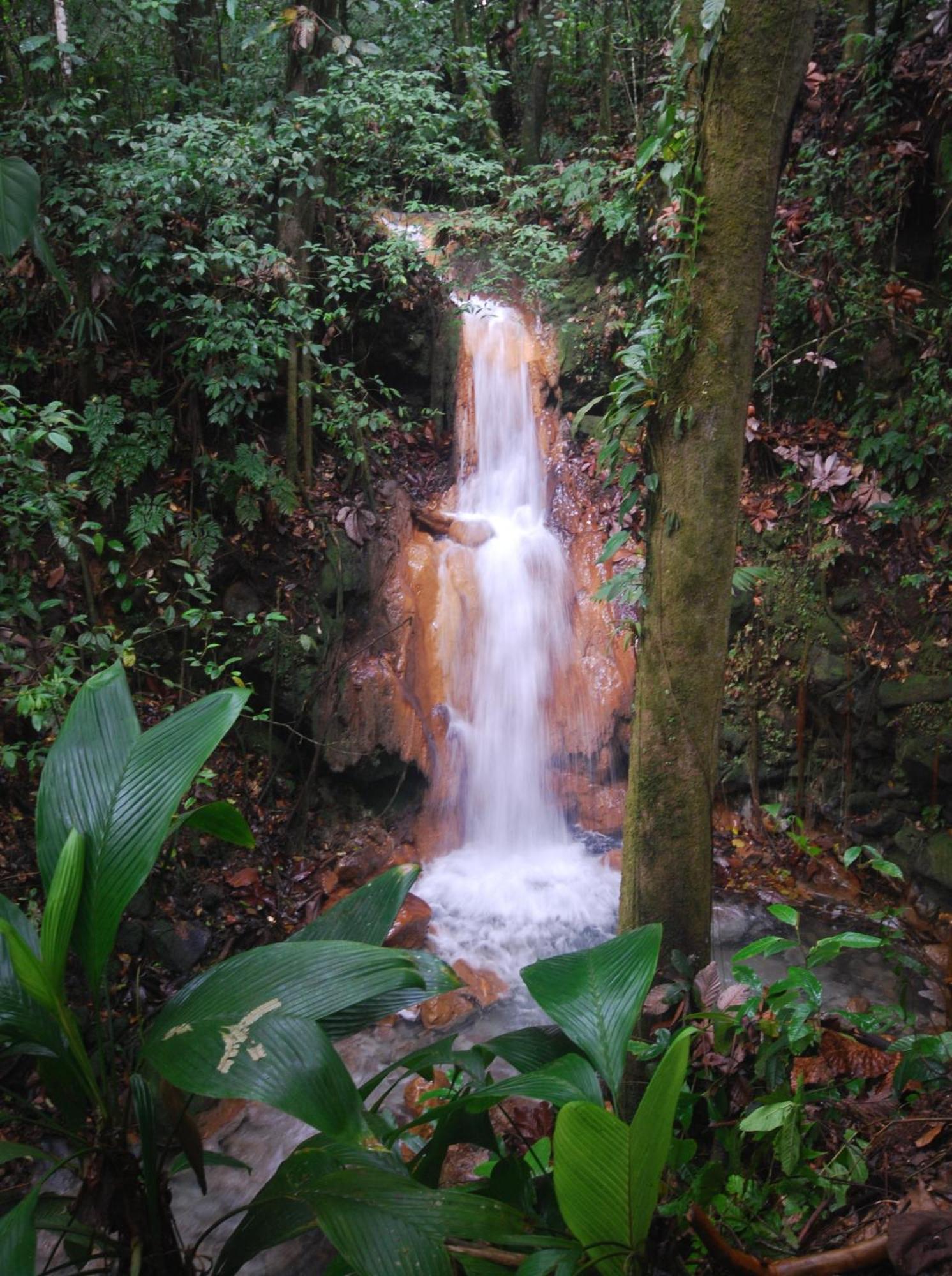 Blue River Resort & Hot Springs Liberia Exteriör bild