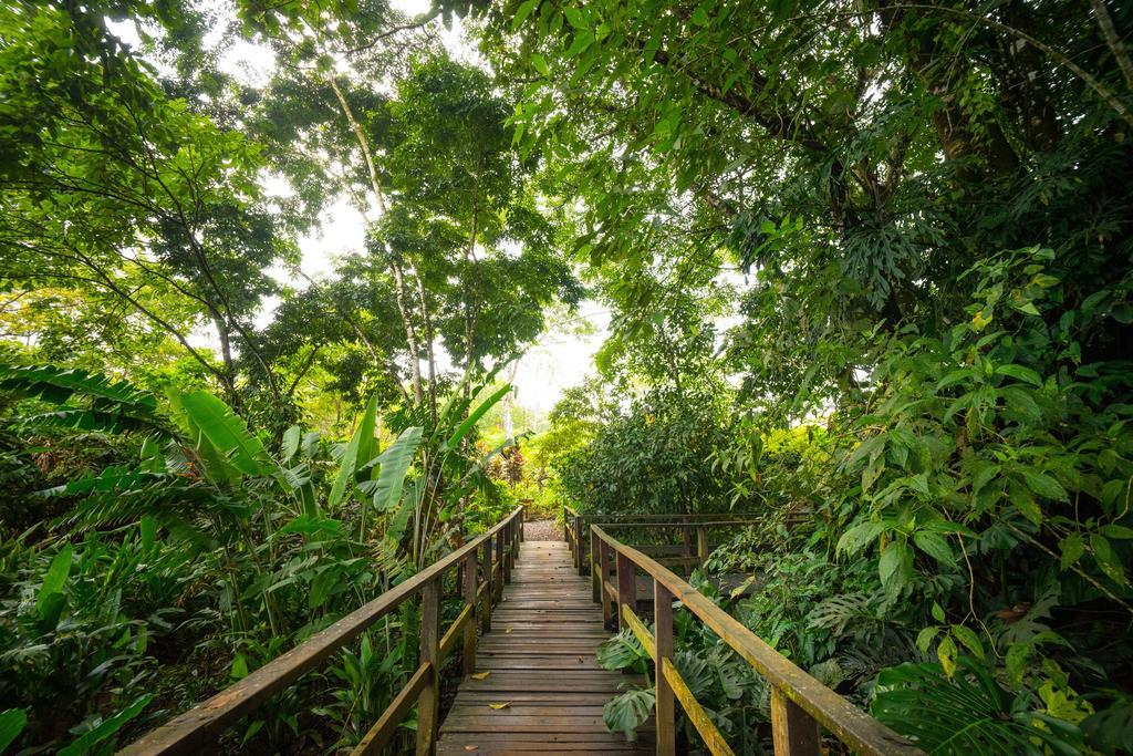 Blue River Resort & Hot Springs Liberia Exteriör bild