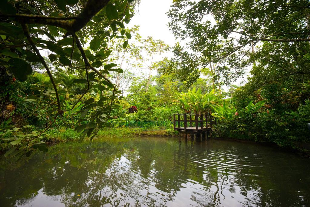 Blue River Resort & Hot Springs Liberia Exteriör bild