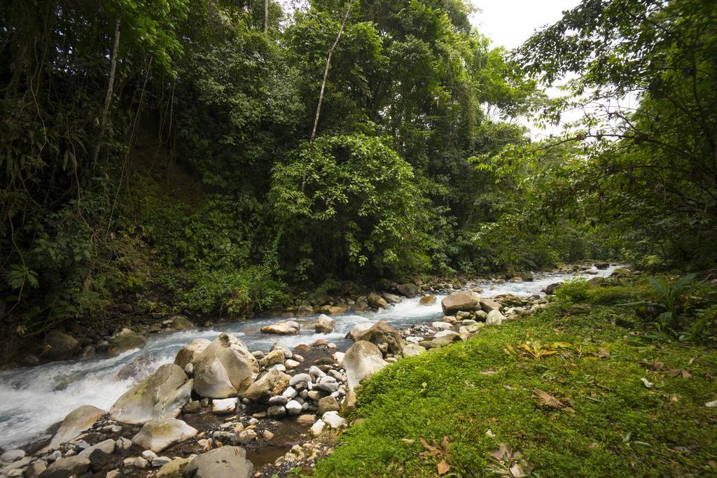 Blue River Resort & Hot Springs Liberia Exteriör bild
