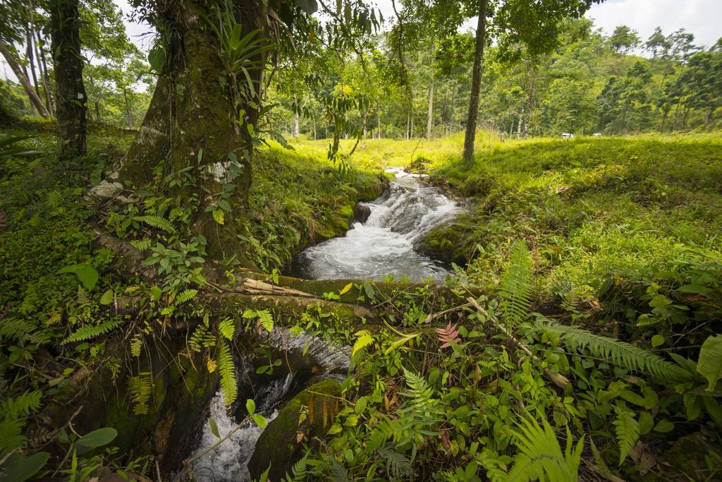Blue River Resort & Hot Springs Liberia Exteriör bild