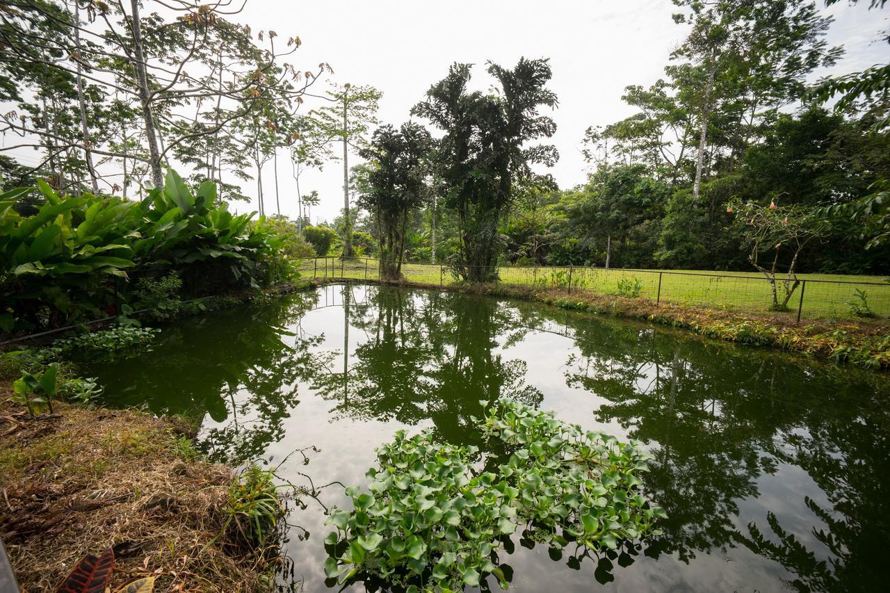 Blue River Resort & Hot Springs Liberia Exteriör bild